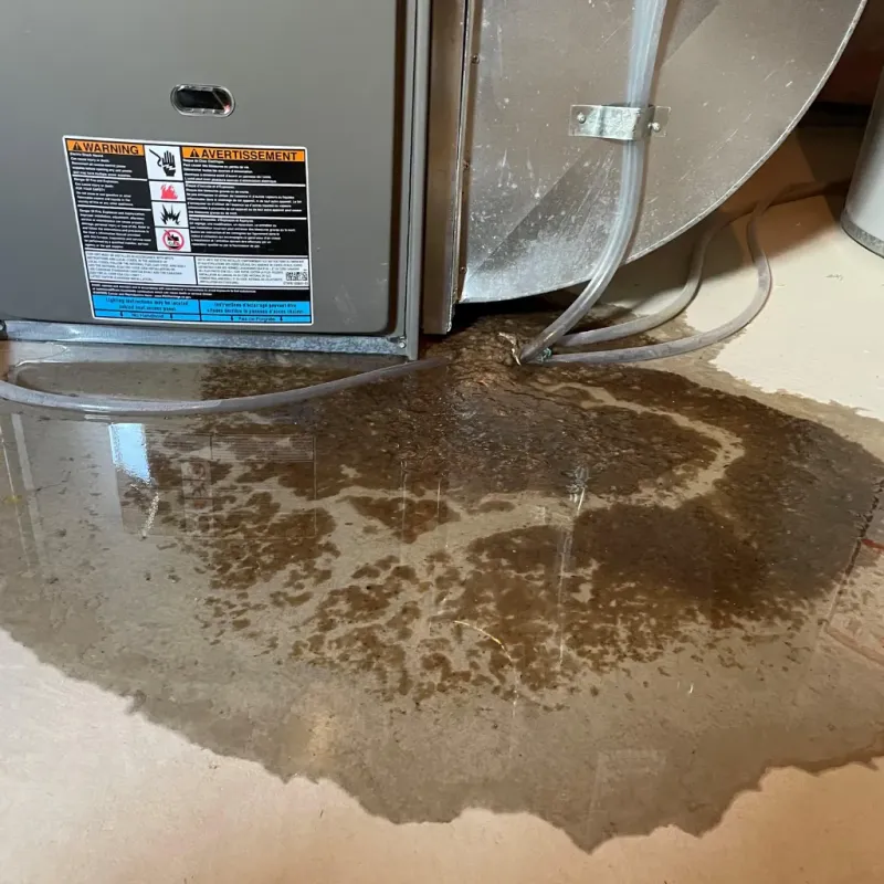 Appliance Leak Cleanup in Racine, WI